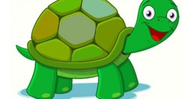 Dibujo de tortuga verde